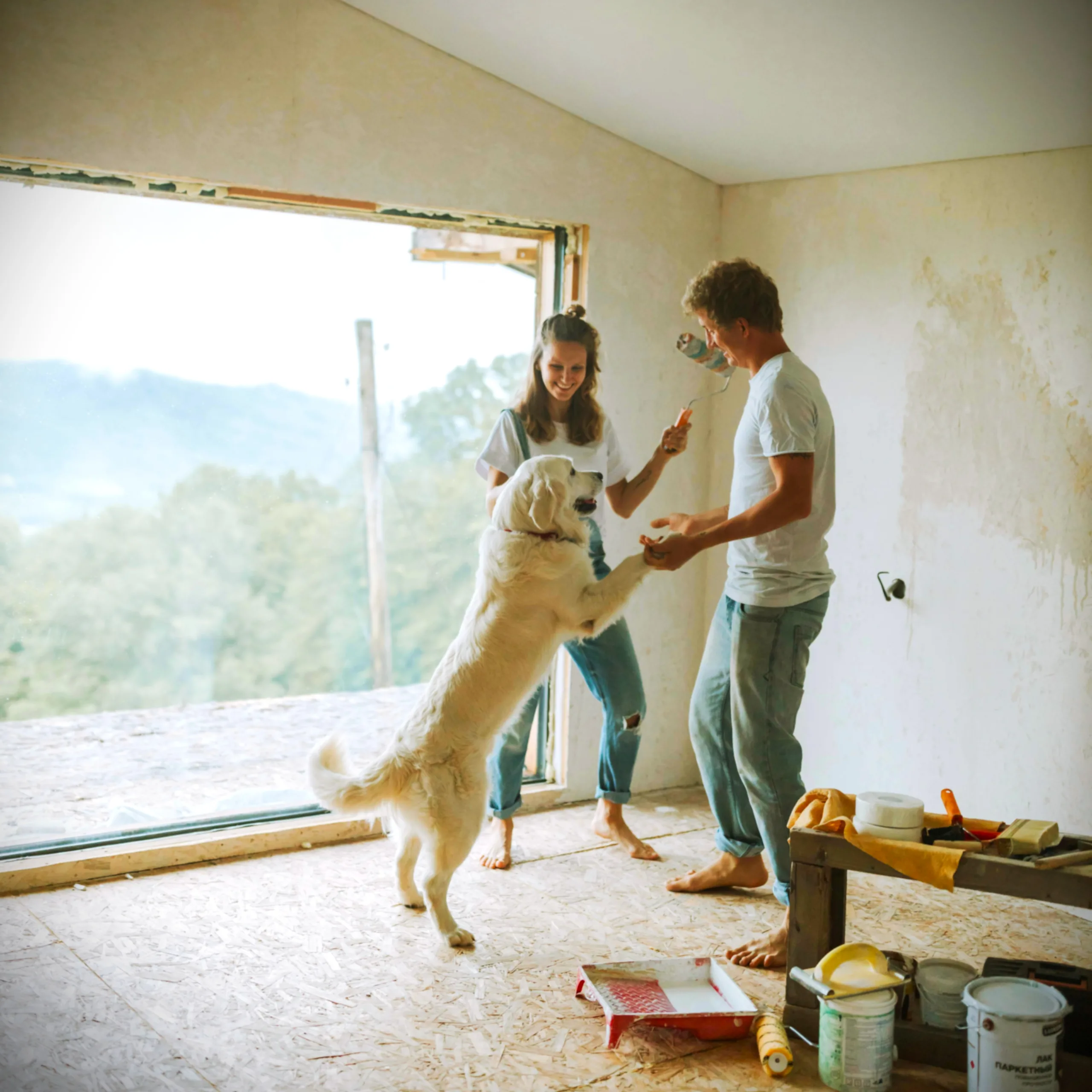A happy couple and their dog renovate their home.